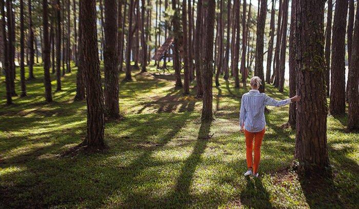 Five simple steps to forest bathing | Breathable Naturals | Glam & Fame Clothing