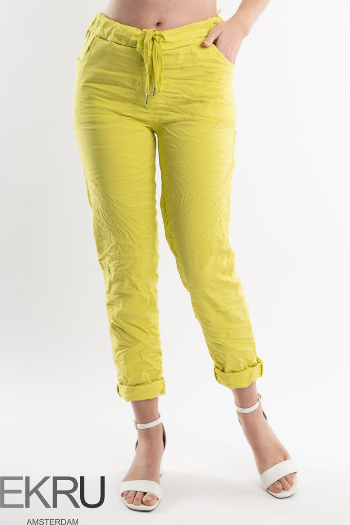 Euro Crafted Pant Textured Accent