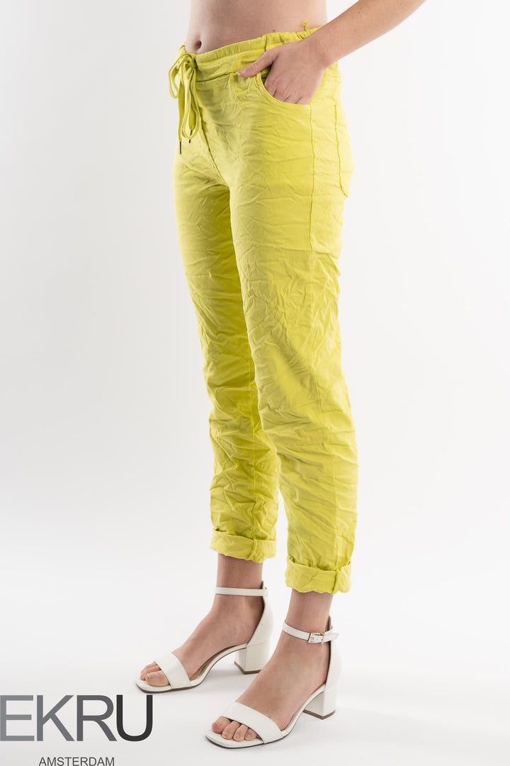 Euro Crafted Pant Textured Accent