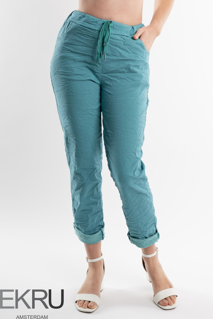 Euro Crafted Pant Textured Accent